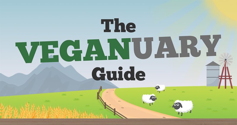Veganuary guide banner